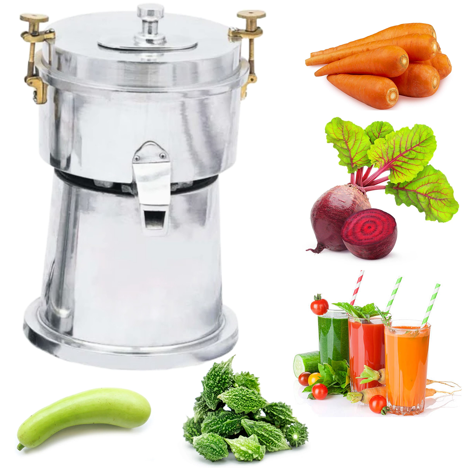 Carrot Juice Machine